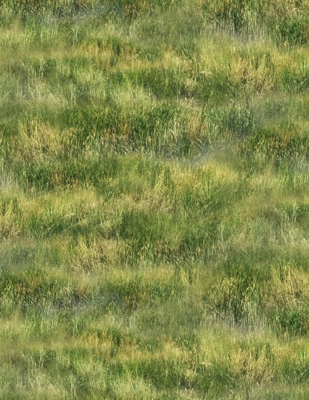 Farmstead- Grass Green